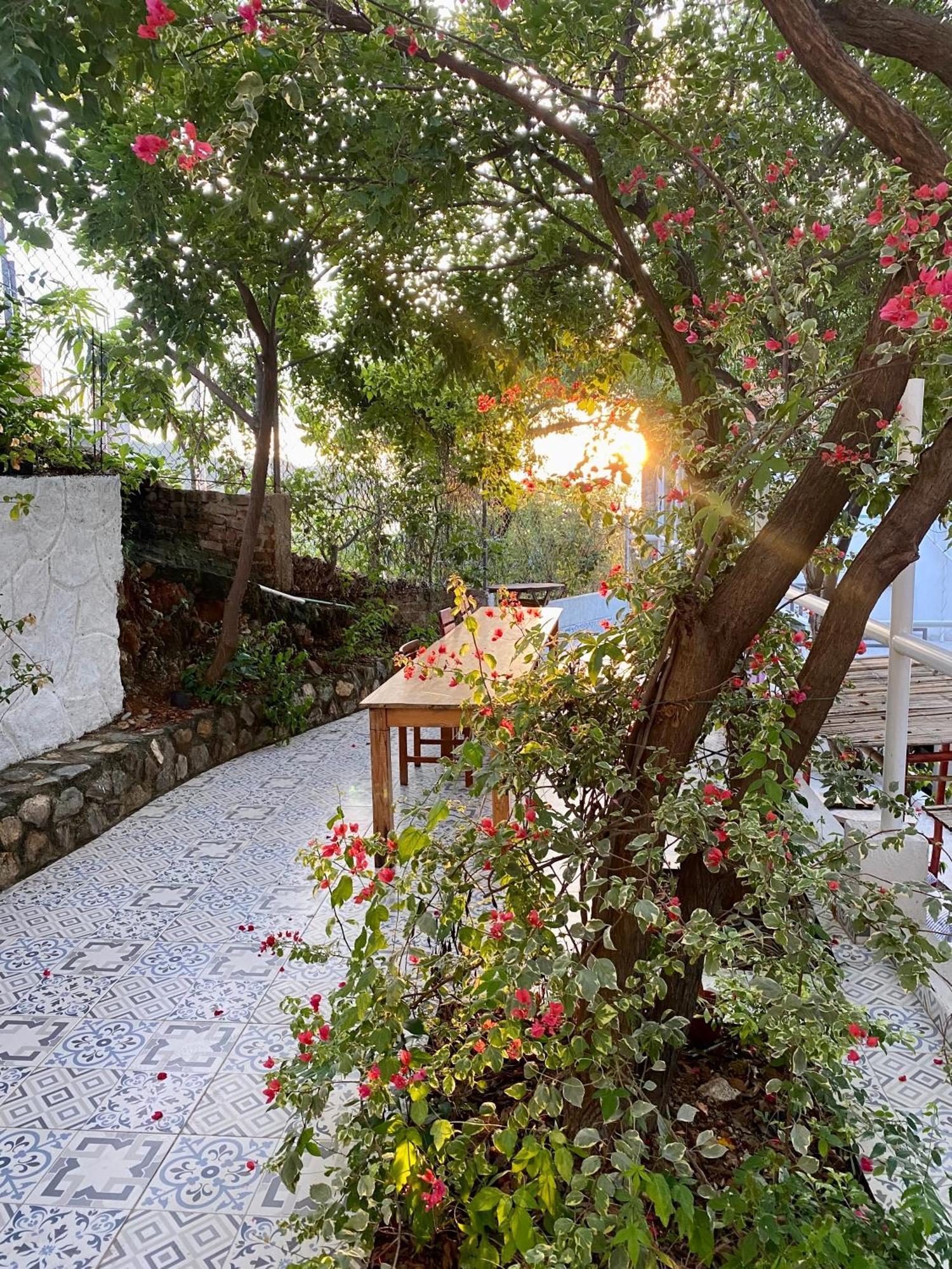 Vito Hotel Boutique Taganga Exterior foto